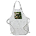 Apron - A macro photograph of a piece of granite with moss growing on it. Stamp City - nature