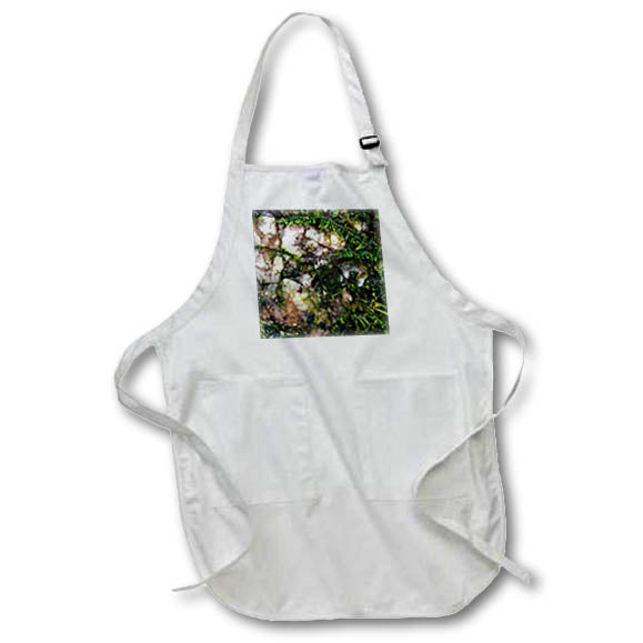 Apron - A macro photograph of a piece of granite with moss growing on it. Stamp City - nature