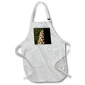 Apron - A macro photograph of a pinecone laying on green pine needles. Stamp City - nature