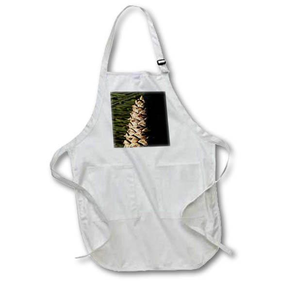 Apron - A macro photograph of a pinecone laying on green pine needles. Stamp City - nature