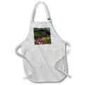 Apron - A photograph of mossy boulders surrounded by fallen leaves. Stamp City - nature