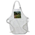 Apron - A photograph of large moss covered boulders in the woods. Stamp City - nature