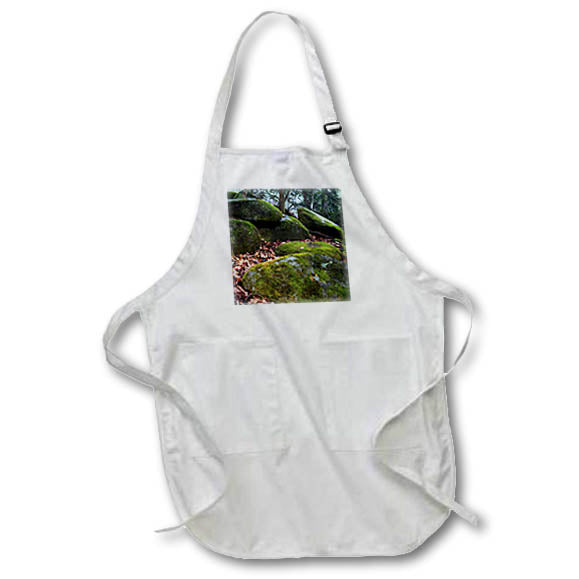 Apron - A photograph of large moss covered boulders in the woods. Stamp City - nature