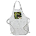 Apron - A photograph of an old, large root that looks like a chickens foot. Stamp City - nature