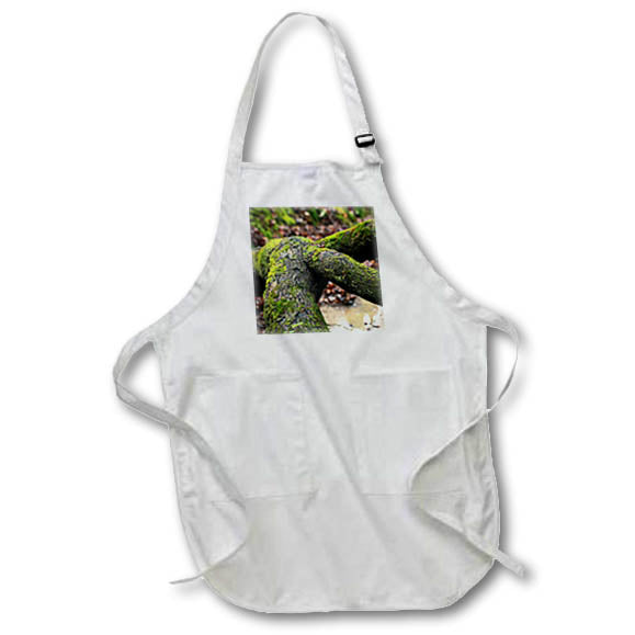 Apron - A photograph of an old, large root that looks like a chickens foot. Stamp City - nature