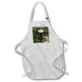 Apron - A macro photograph of a mushroom growing in moss. Stamp City - nature