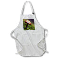 Apron - A close up photograph of a mushroom on a mossy bokeh background. Stamp City - nature