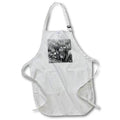 Apron - Black and white macro photograph of coprinellus micaceus mushrooms. Stamp City - nature