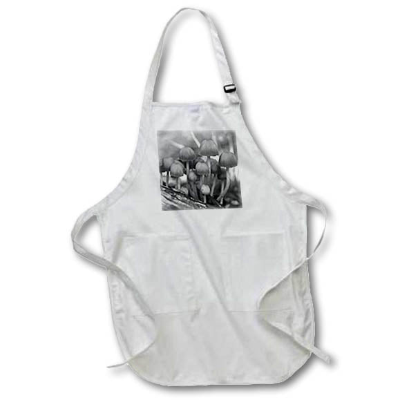 Apron - Black and white macro photograph of coprinellus micaceus mushrooms. Stamp City - nature
