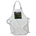 Apron - Photo of large pieces of granite creating the walls of a spring house. Stamp City - architecture