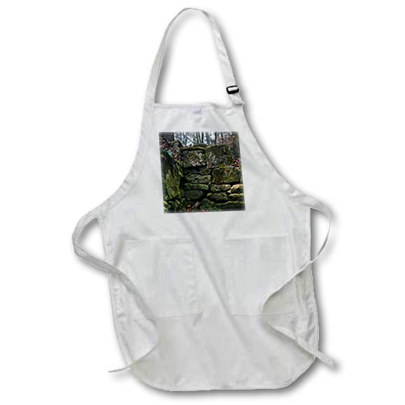 Apron - Photo of large pieces of granite creating the walls of a spring house. Stamp City - architecture