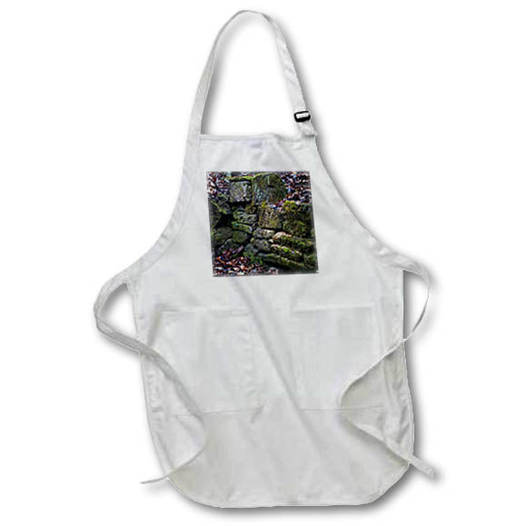 Apron - Photo of a spring house with large pieces of granite covered in moss. Stamp City - architecture