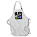 Apron - A macro photograph of a wild purple violet in bloom. Stamp City - flower