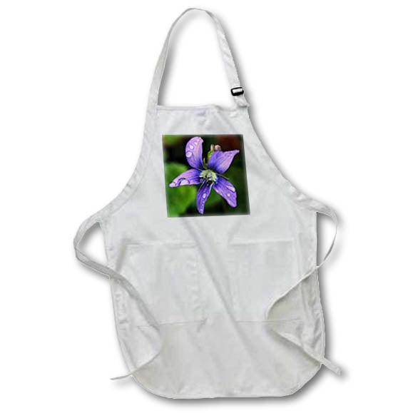 Apron - A macro photograph of a wild purple violet in bloom. Stamp City - flower