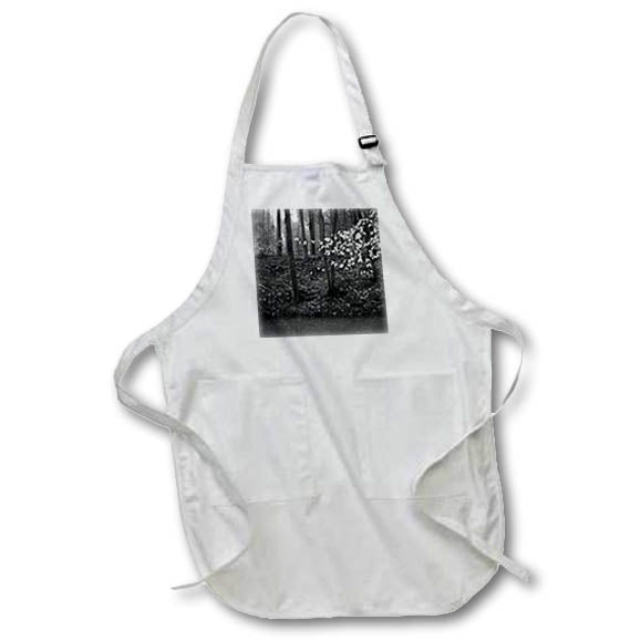 Apron - Black and white photograph of trees along the edge of a creek. Stamp City - landscape
