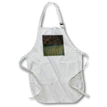 Apron - Photograph of reflections of trees in creek water. Stamp City - landscape