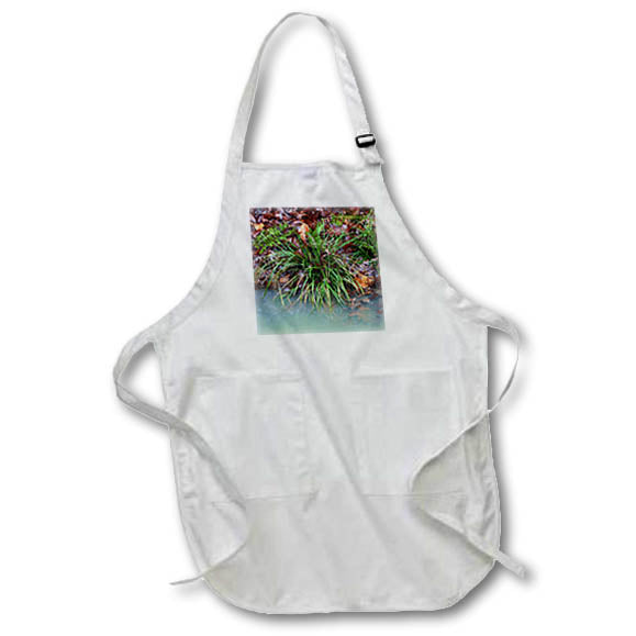 Apron - Photograph of grass, ferns, and fall leaves on the edge of a creek. Stamp City - landscape