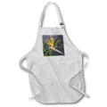 Apron - Multicolored Bird Of Paradise Flower Photograph Photography - Bird Of Paradise Flower