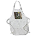 Apron - Photo of a pine warbler watching a Carolina chickadee on a pine tree. Stamp City - typography - birds