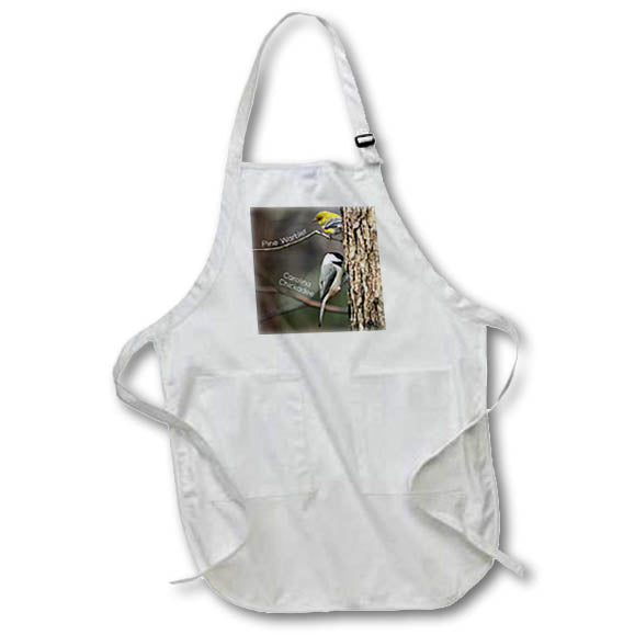 Apron - Photo of a pine warbler watching a Carolina chickadee on a pine tree. Stamp City - typography - birds