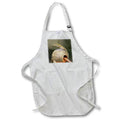 Apron - A macro of an anole hatchling sitting on a metal top of a birdhouse. Stamp City - animal
