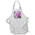 Apron - A macro photograph of a pink dianthus in bloom. Stamp City - flower macro