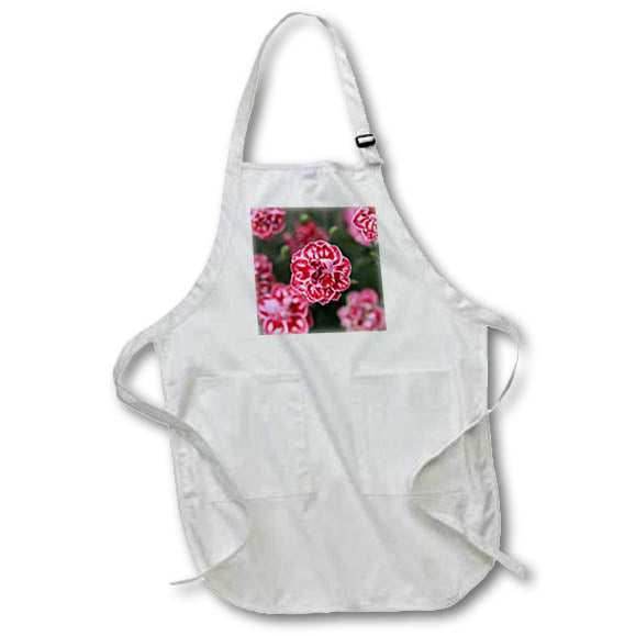 Apron - A macro photograph of pink and white dianthus flowers. Stamp City - flower macro