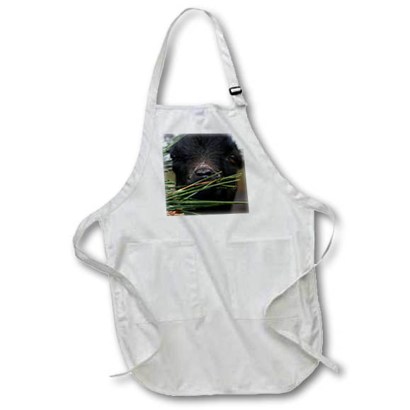 Apron - An extreme close up of a baby black goat snacking on pine needles. Stamp City - animal macro