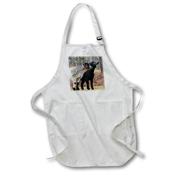 Apron - A photograph of two fuzzy baby goats posing for the camera. Stamp City - animals