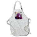 Apron - A macro photograph of a Coral Bells Dolce Wildberry leaf. Stamp City - plant macro