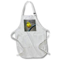 Apron - Photograph of a male pine warbler perched on a metal arch with text. Stamp City - typography - bird