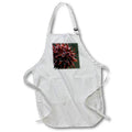 Apron - Macro photograph of a brown sweet gum fruit ball. Stamp City - animal macro