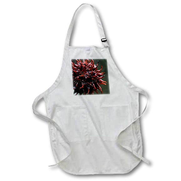 Apron - Macro photograph of a brown sweet gum fruit ball. Stamp City - animal macro