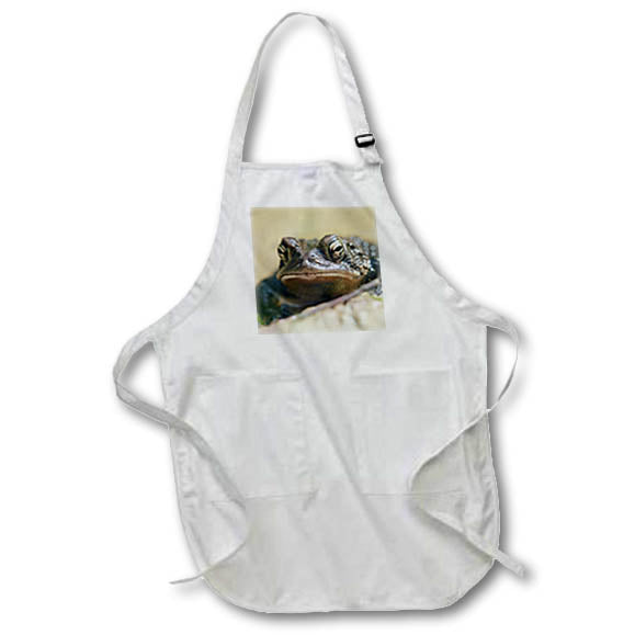 Apron - Macro photograph of a Southern Toad emerging from the pond. Stamp City - animal macro