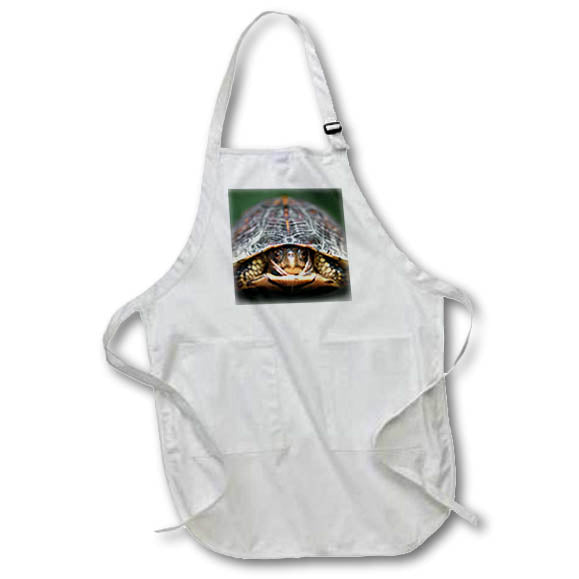 Apron - A close up photograph of a box turtle coming out of his shell. Stamp City - animal macro