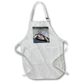 Apron - An abstract photograph of a box turtle using the cut out filter. Stamp City - abstract - animal macro