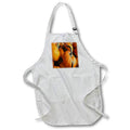 Apron - Vector Style Harvest Of Pumpkins Vector Art - Pumpkins