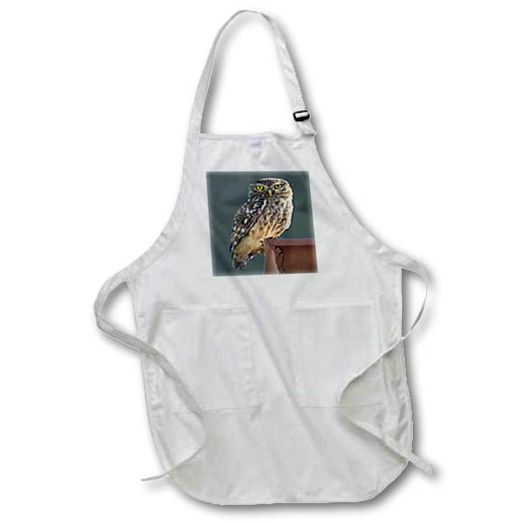 Apron - Barn Owl Staring Towhit Towho Photo Vector Vector Art - Little Owl