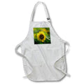 Apron - Sunflower in afternoon sun Photography - Flowers