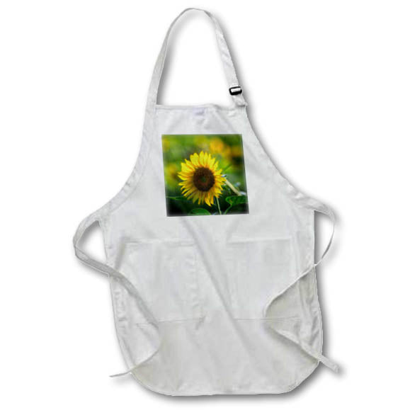 Apron - Sunflower in afternoon sun Photography - Flowers