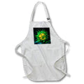 Apron - Closeup of sunflower bloom Photography - Flowers