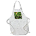 Apron - Closeup of tree with orange fruit Photography - Landscape