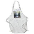 Apron - Foggy waterfall in autumn Photography - Landscape