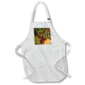 Apron - Elk portrait Photography - Wildlife