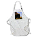 Apron - Bison facing the morning sun Photography - Wildlife