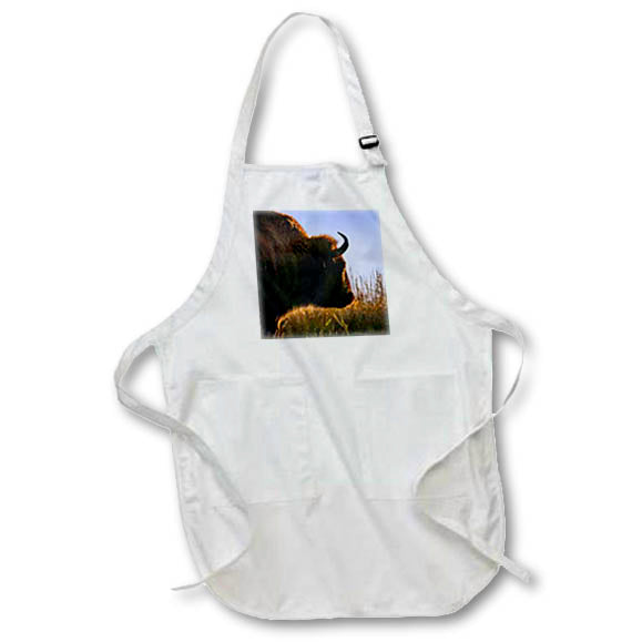 Apron - Bison facing the morning sun Photography - Wildlife
