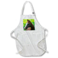 Apron - Horse portrait Photography - Animals