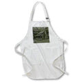 Apron - Old cabin in the woods Photography - Landscape