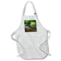 Apron - Mountain stream Photography - Landscape