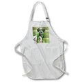 Apron - A Dalmatian in Sunglasses and Winter Scarf on Green Holiday Plaid Fleas NaviDOG Collection